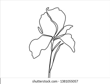Beautiful flower. Plant. Continuous line