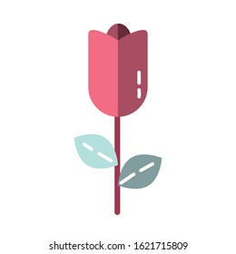 beautiful flower plant isolated icon vector illustration design