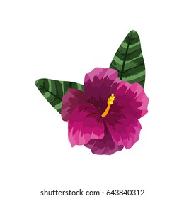 beautiful flower plants with petals and leaves