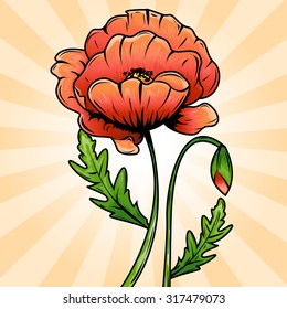 Beautiful flower. Poppy. Banner. Postcard. Pattern.