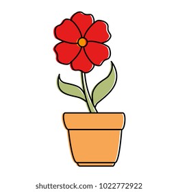 beautiful flower in pot