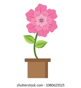 beautiful flower in a pot