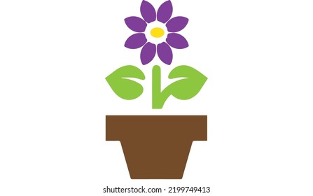 una hermosa flor en una olla