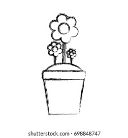 Beautiful flower in pot