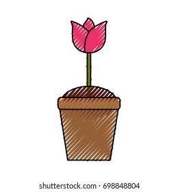Beautiful flower in pot