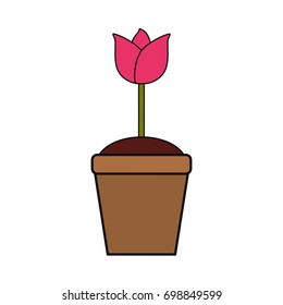 Beautiful flower in pot