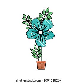 beautiful flower in pot houseplant