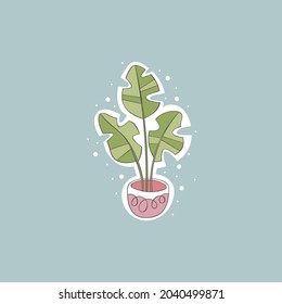 Beautiful flower in a pot. Plant. Card. Frame. Isolated vector object.