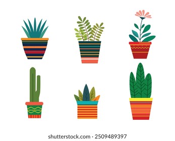 Beautiful flower pots and different plants 