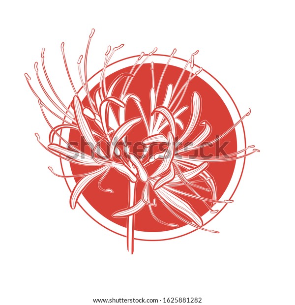 Beautiful flower (red spider lily) in red\
circle. Vector\
illustration.