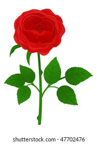 Beautiful flower rose on white background. Vector object isolated