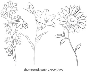 Hermosa ilustración vectorial de línea de flor