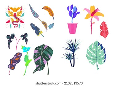 beautiful flower set pictures and elegant colors