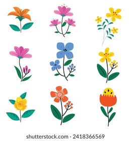 beautiful flower spring flower collection