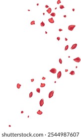 Beautiful Flower Spring Vector White Background. Japan Cherry Pattern. Delicate Rose Tender Cover. Pink Lotus Blur Wallpaper.