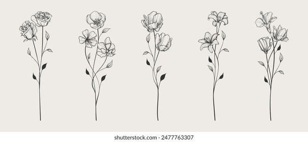 Beautiful flower with stem line art illustration set