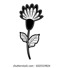 Beautiful flower symbol