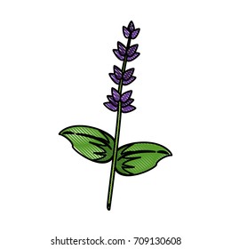 beautiful flower symbol