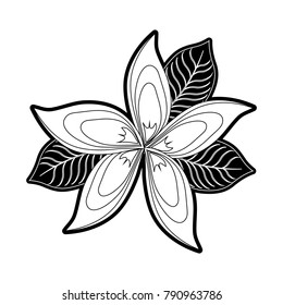 Beautiful flower symbol