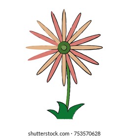 Beautiful flower symbol icon vector illustration graphic design