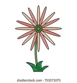 Beautiful flower symbol icon vector illustration graphic design