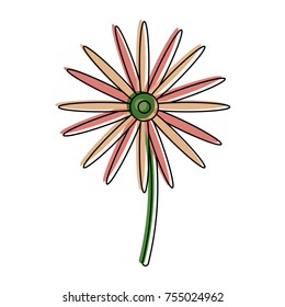 Beautiful flower symbol icon vector illustration graphic design