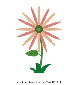 Beautiful flower symbol icon vector illustration graphic design