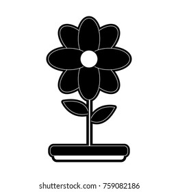 Beautiful flower symbol icon vector illustration graphic design