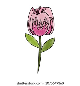 Beautiful flower symbol scribble