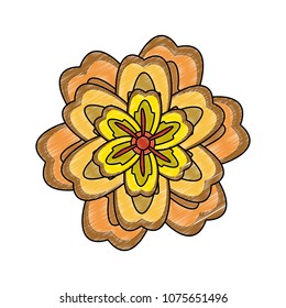 Beautiful flower symbol scribble