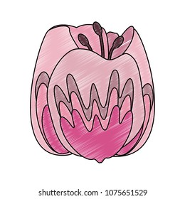 Beautiful flower symbol scribble