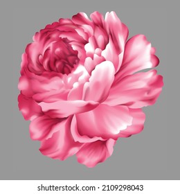 beautiful flower textile print work