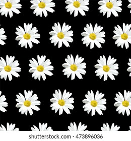 Beautiful flower texture with field flowers on the black background. Vector daisies. Low poly style.Perfect for cover, card, fabric, wall paper and interior design. 