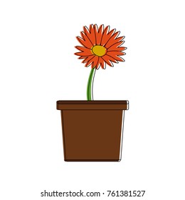 Beautiful flower in vase