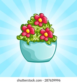 Beautiful flower in vase or flower pot