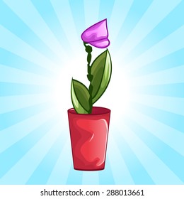 Beautiful flower in vase or flower pot