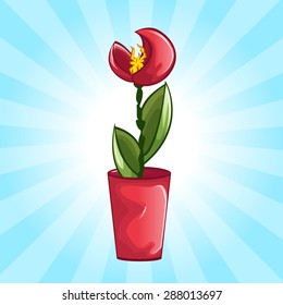 Beautiful flower in vase or flower pot