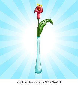 Beautiful flower in vase or flower pot