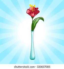 Beautiful flower in vase or flower pot