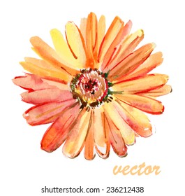 Beautiful flower, vector