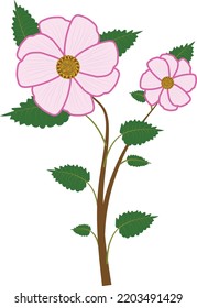 Beautiful flower Vector Artwork. This is an eps file.