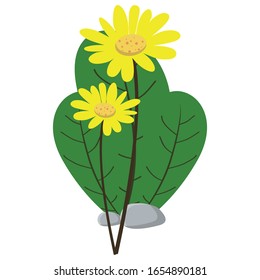 Beautiful flower vector design, flower vector art illustration and decoration