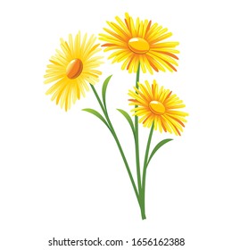 Hermoso diseño vectorial de flores, arte vectorial de flores e ilustración, aislado en fondo blanco