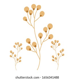 Beautiful flower vector design, flower vector art and illustration isolated on white background