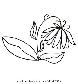 Beautiful flower. Vector illustration.