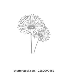 Beautiful flower. Vector illustration. Coloring book page for adult.Sunflower coloring line art.