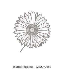 Beautiful flower. Vector illustration. Coloring book page for adult.Sunflower coloring line art.