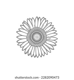 Beautiful flower. Vector illustration. Coloring book page for adult.Sunflower coloring line art.