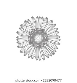 Beautiful flower. Vector illustration. Coloring book page for adult.Sunflower coloring line art.