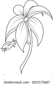 Schönes Blumendesign, Vektorgrafik-Design